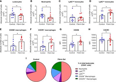 Frontiers | Physiological Fibrin Hydrogel Modulates Immune Cells And ...